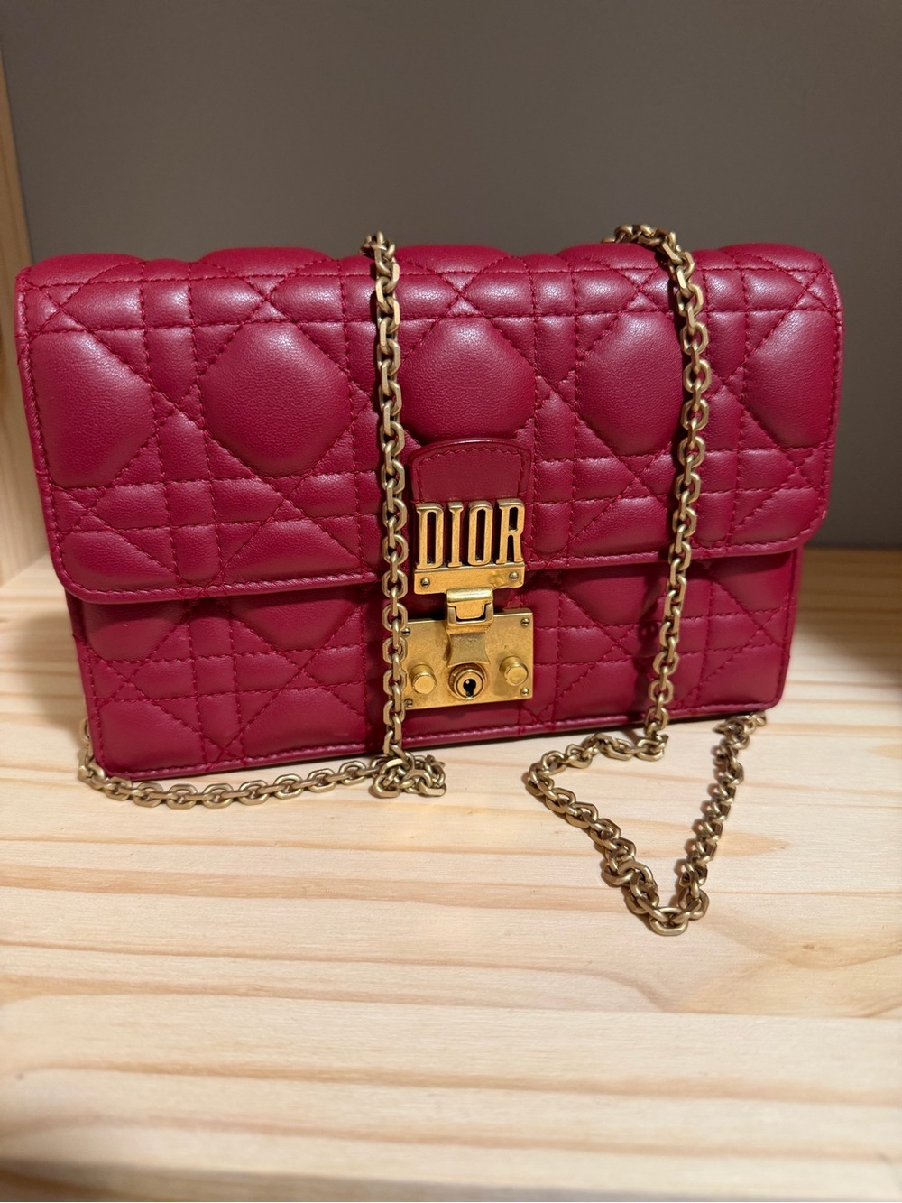 Dior Rose Quilted Leather Mini Shoulder Bag with Gold Chain